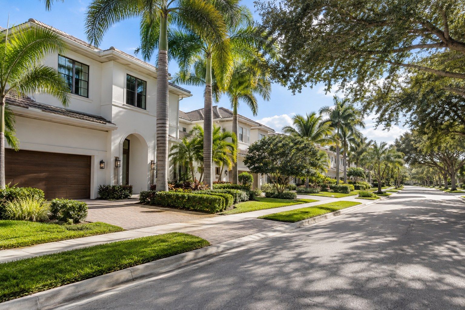 A quiet palm-lined Florida street, illustrative